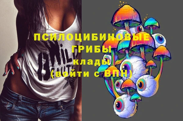 ECSTASY Зеленокумск