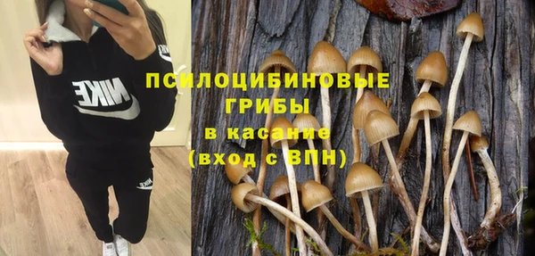 марихуана Заводоуковск