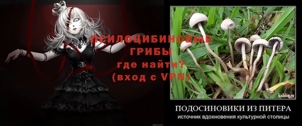 твердый Заволжск
