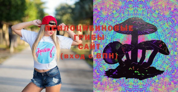 твердый Заволжск