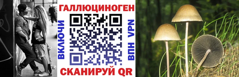 Галлюциногенные грибы MAGIC MUSHROOMS  Купить где  Полевской 
